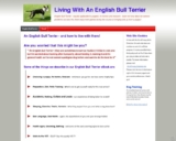 English Bull Terrier | How to live with and withou &hellip;
