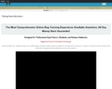 Become a Member Today – DogTraining.World
