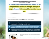 Cat Language Bible™ – Feline-Human Communi &hellip;